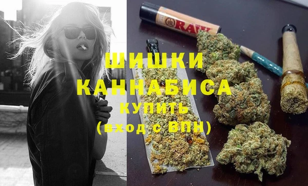 прущие грибы Кукмор