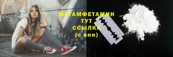 прущие грибы Кукмор