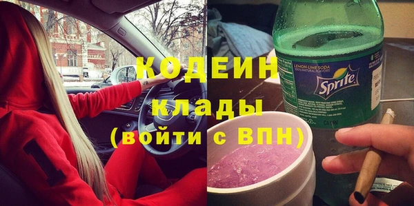 мдпв Вяземский