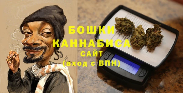 прущие грибы Кукмор