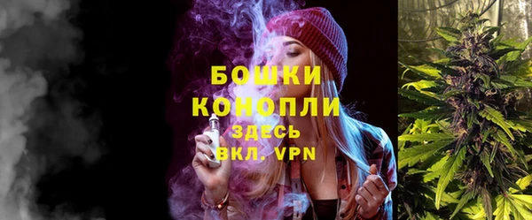 прущие грибы Кукмор