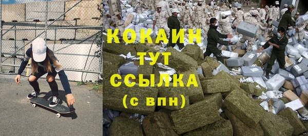 прущие грибы Кукмор