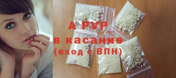 прущие грибы Кукмор