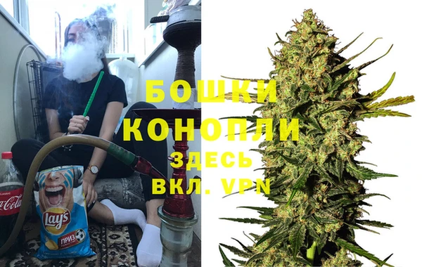 прущие грибы Кукмор