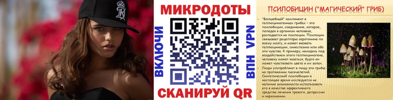 купить закладку  Переславль-Залесский  Псилоцибиновые грибы ЛСД 