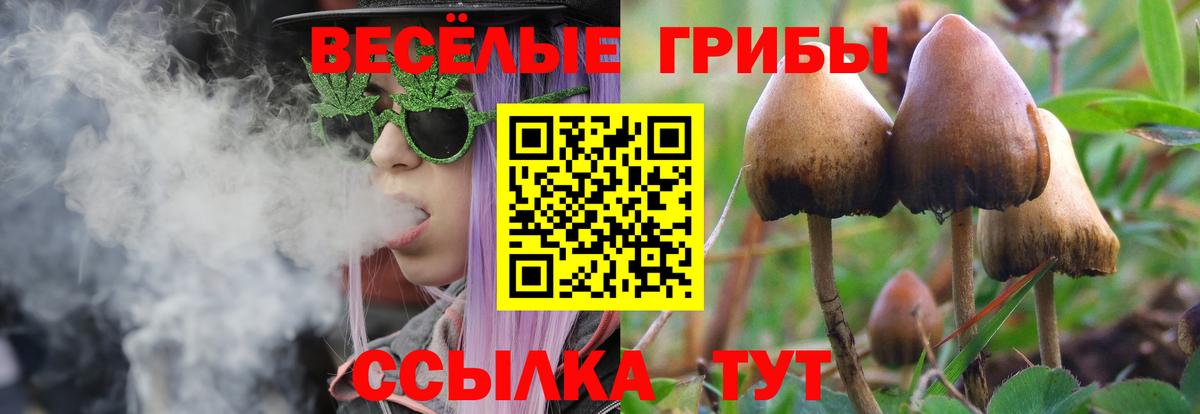 Галлюциногенные грибы Psilocybine cubensis  Вход с VPN  Переславль-Залесский  Галлюциногенные грибы Cubensis 